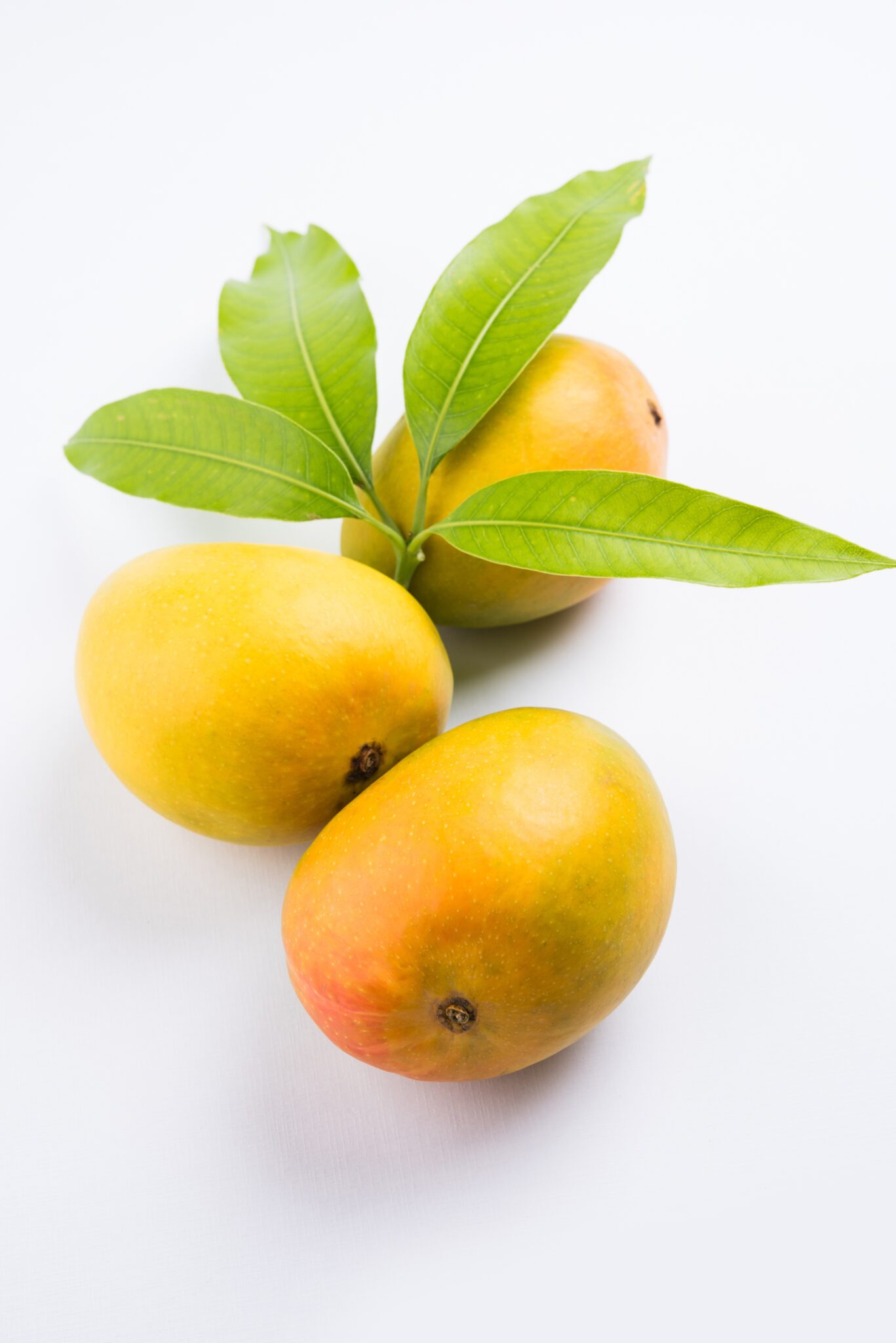 Renkli Arka Planda Tatlı ve Sulu Alphonso Mango – Su Stock Fotoğrafları