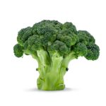 Brokoli
